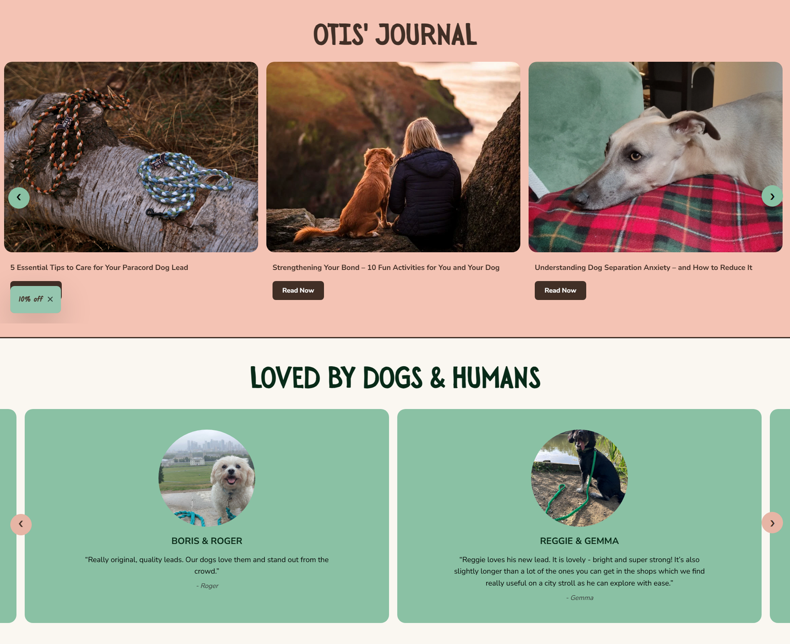 Homepage screenshot